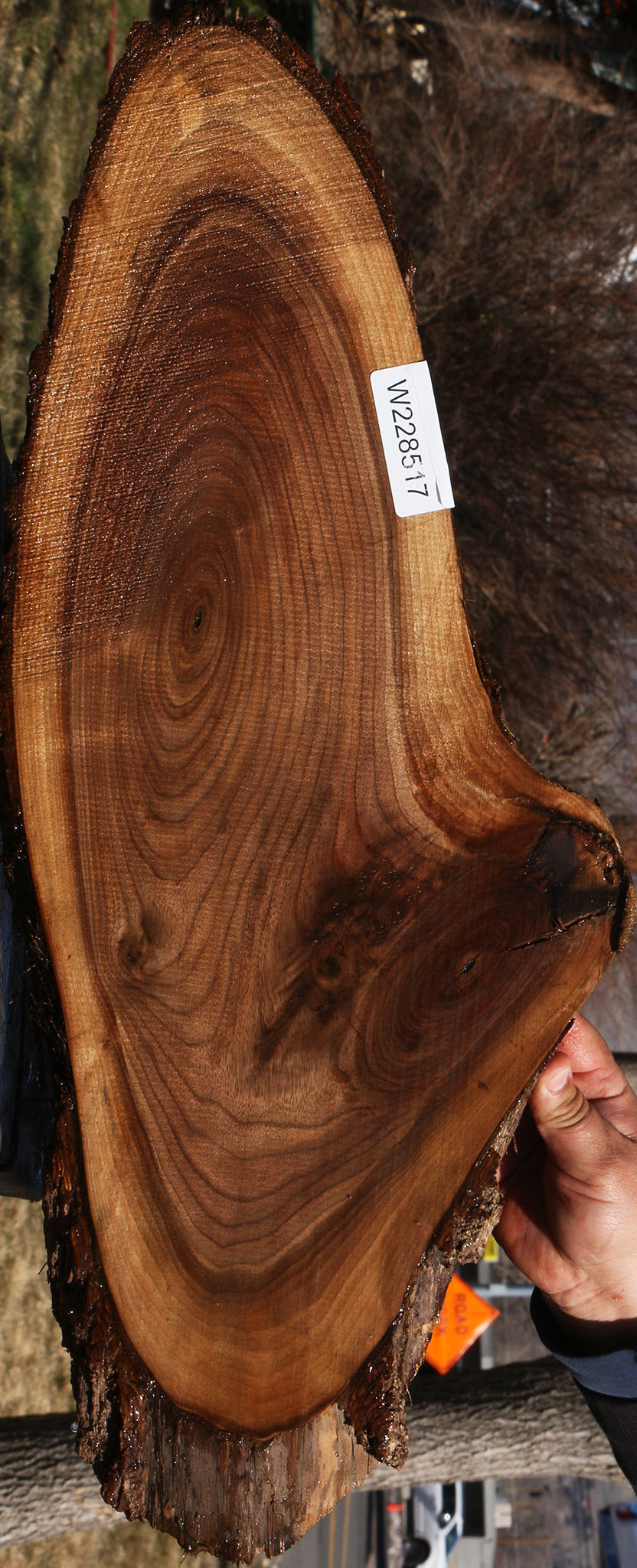 228517_1_5df99667-23cf-41f9-8a91-3af6e87bc6d8 15070072439155