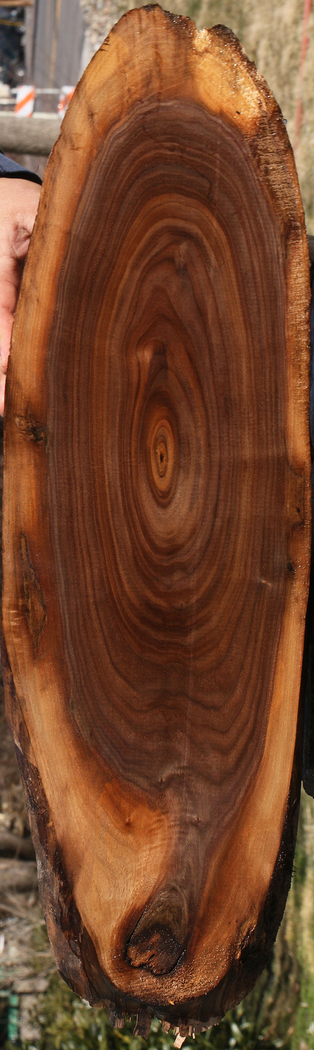 228527_1_9578670e-43ea-40af-9064-10ddb34ee869 15070074470771