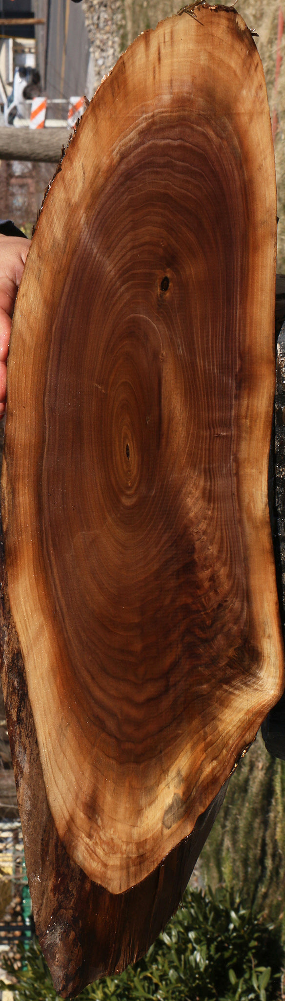 228529_1_859006b0-f478-4c50-bd0e-00a0d5e3270d 15070074798451