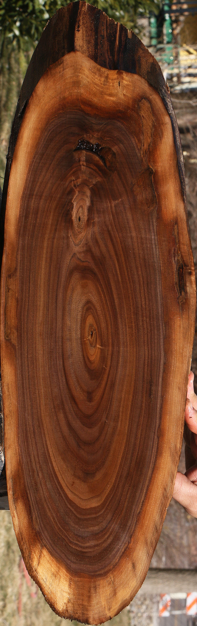 228531_1_ebf55383-98e8-4e7c-bff1-0c74e047fdf9 15070075158899