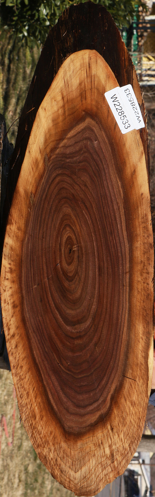 228533_1_4da29111-f340-43a1-8762-e74065e8f43d 15070075519347