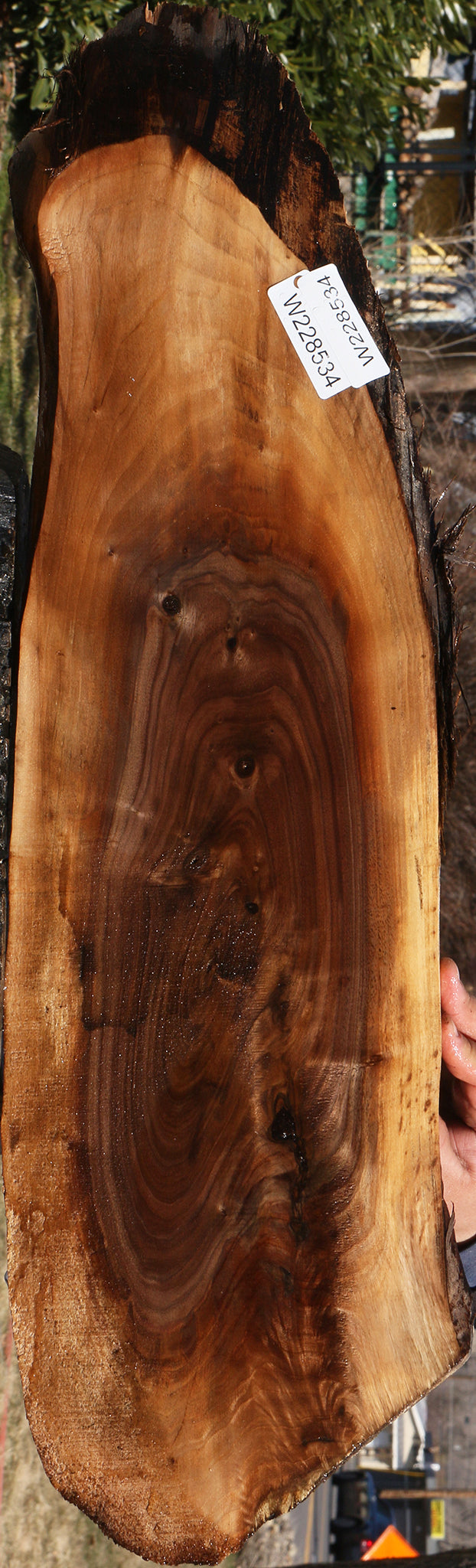 228534_1_462a26a4-ab28-4bf9-b0f9-f32f5d177f11 15070075650419