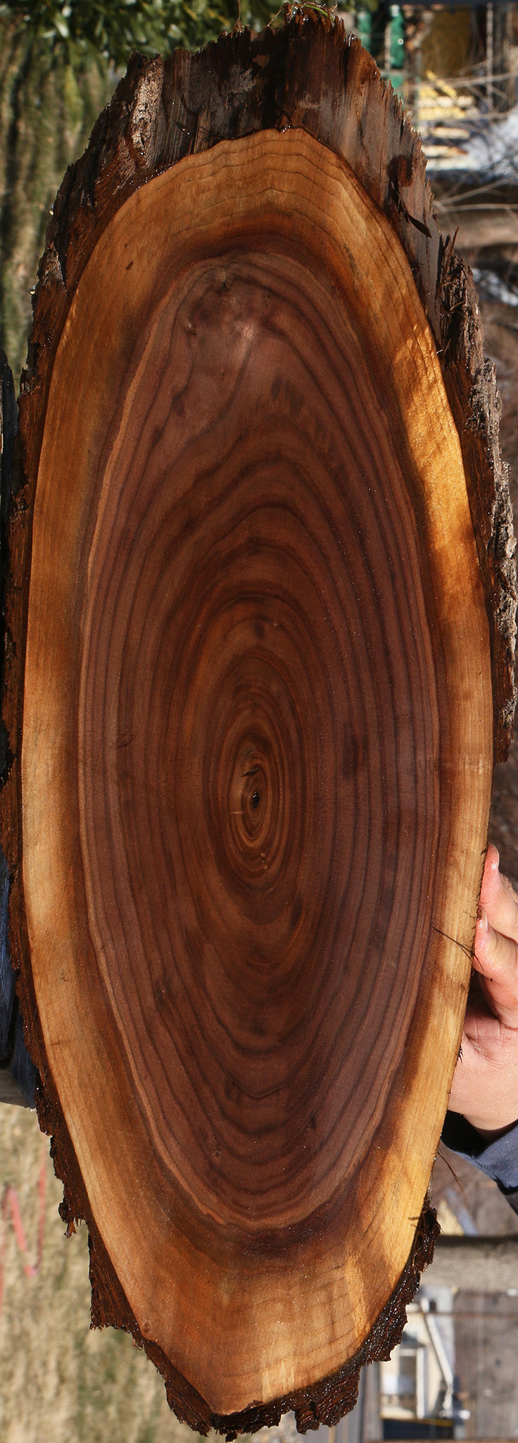 228535_1_ea7f2d42-5282-4798-b2c9-3621468dd3bd 15070075847027