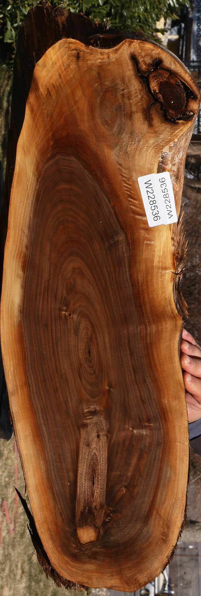 228536_1_bfbe883a-9c17-4e90-bf9a-5ca080958289 15070076043635