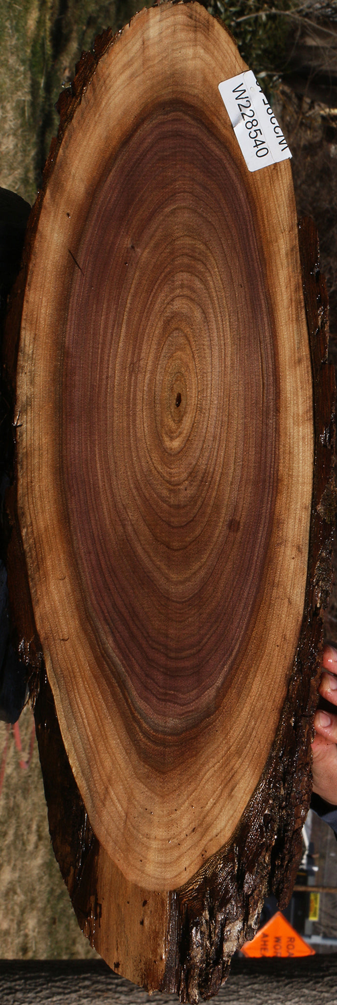 228540_1_c8cfe78c-9f75-4d17-bfc6-ab5d4b4e6b1e 15070077026675