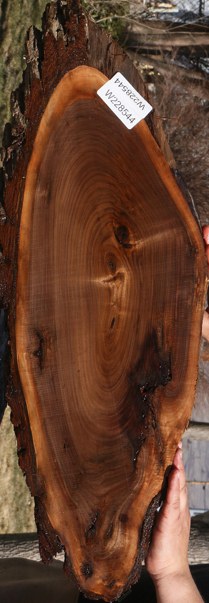 228544_1_76e53f1d-99d3-4696-8e43-18a3063d9ae2 15070077911411