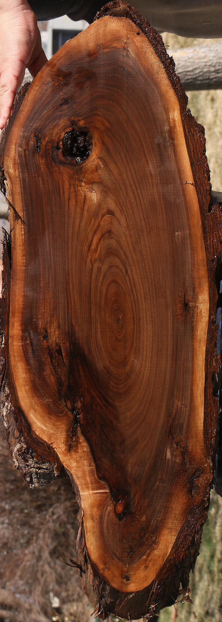 228546_1_ef9016a8-9be9-4bf9-b5ee-1aac2cdc60b3 15070078435699