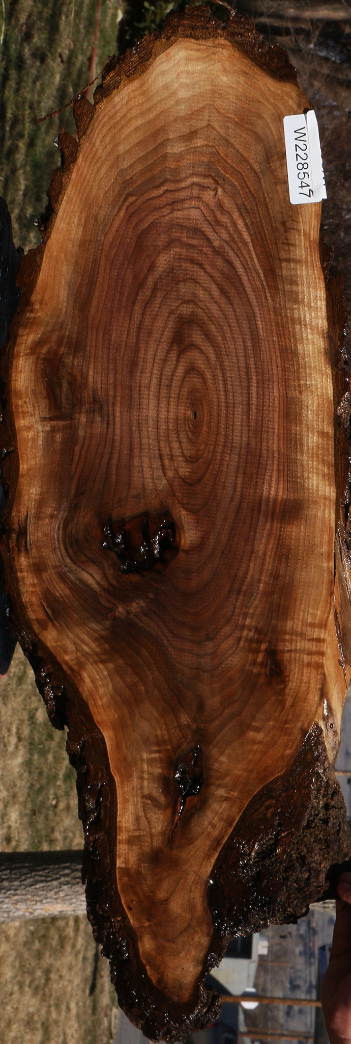 228547_1_642fea87-02f6-4c33-92a4-bfaba4095165 15070078665075