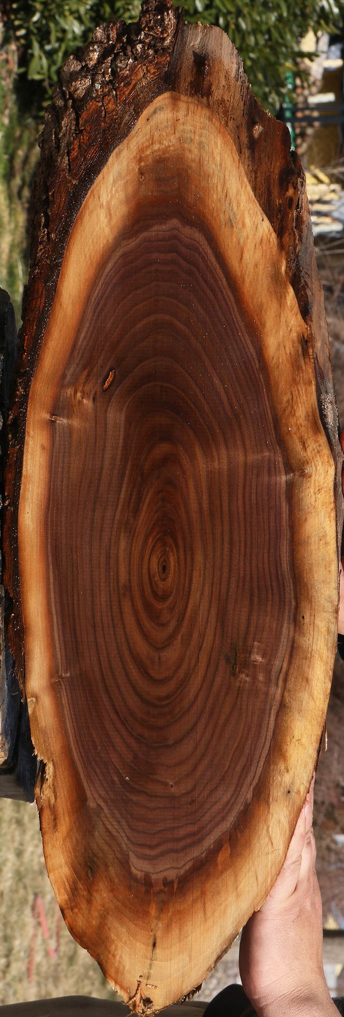 228555_1_1063aa06-ad11-4b79-b1ba-4c7b2ea5d13a 15070080500083