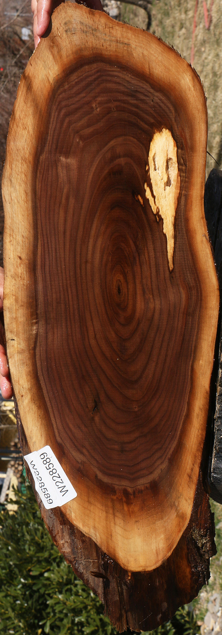 228589_1_c3087416-40e5-4bb9-8782-cfbefcc8e0fb 15070090002803