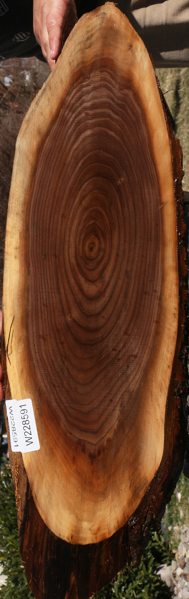 228591_1_b4604dc4-d3ac-4a4e-af67-bfb57b9e3947 15070090592627