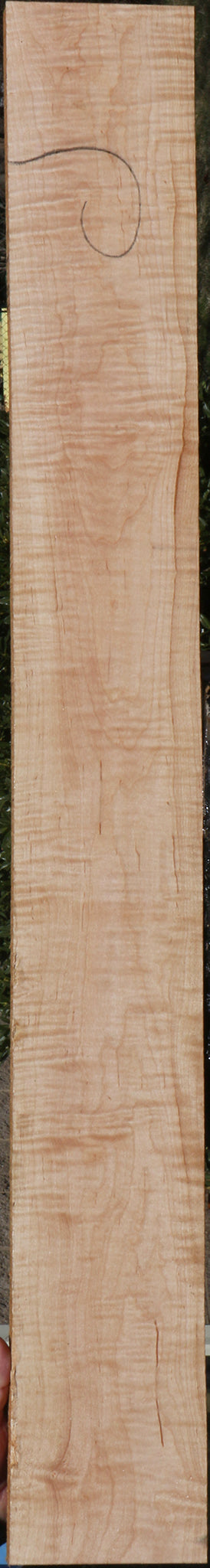 228599_1_b3c56c1d-976b-455a-a81a-9f8e9e485826 15072164151667