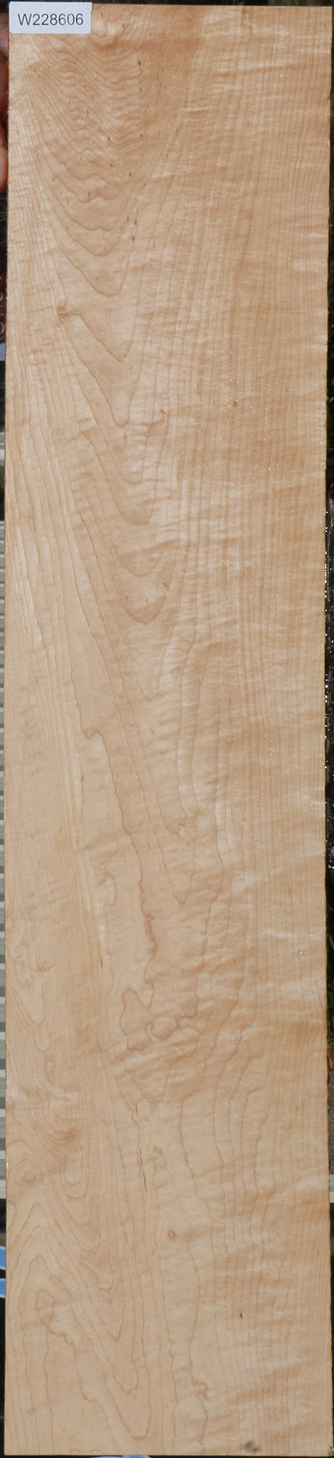 228606_1_06e26bf5-7eba-4d64-810f-96910588f2df 15072164708723