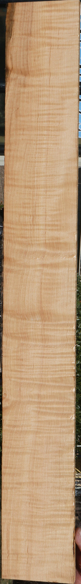 228625_1_ff6e9c5d-172e-4624-a176-e3dff17992c9 15072166084979