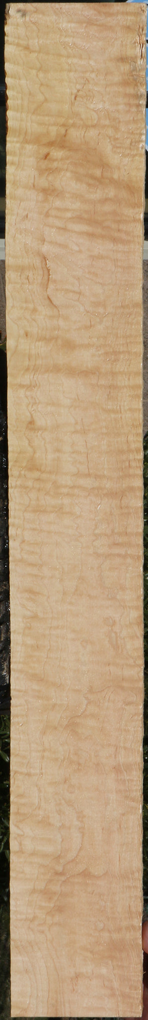 228628_1_73e6fbd9-3fc7-4bc1-b363-25eb61b454c6 15072166347123