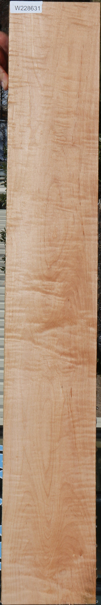 228631_1_2d0cb0ae-b8f5-444f-9f82-de7edb80ace1 15072166576499