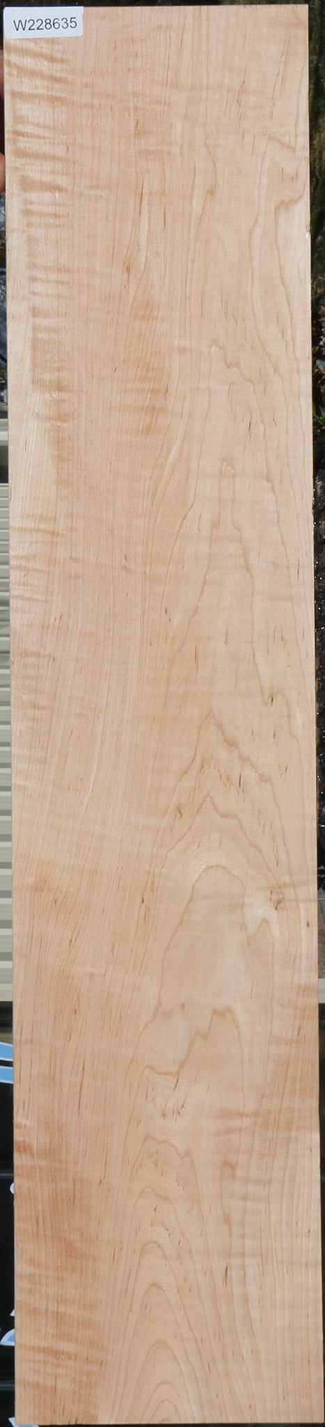 228635_1_8d34cdb7-3c5b-45c7-9385-8b512902a4f1 15072167199091