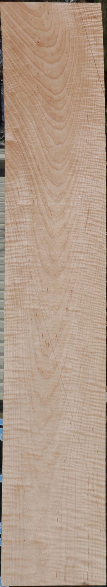 228636_1_9da99768-6c36-424b-a741-62c38900988c 15072167297395