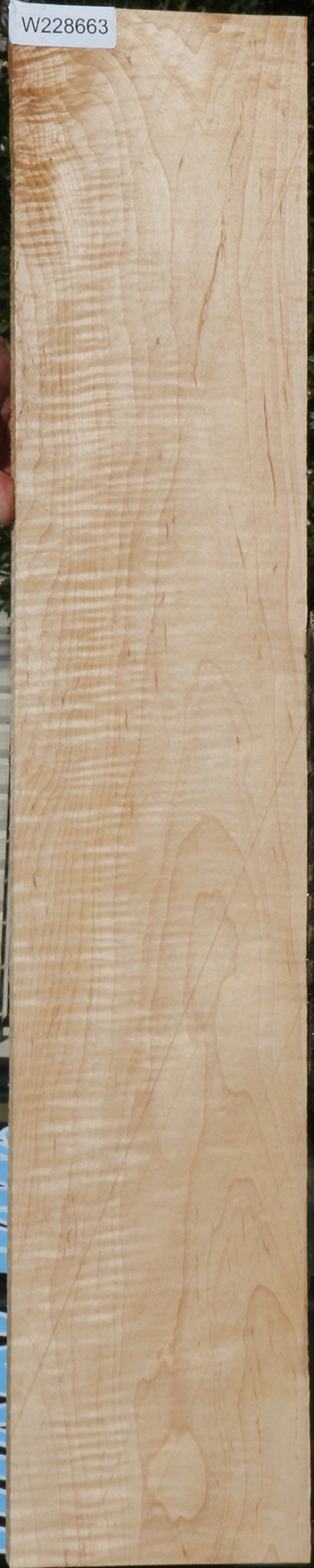 228663_1_5aebfd18-93cc-4e04-959c-a4e7e4f59a28 15072169689459