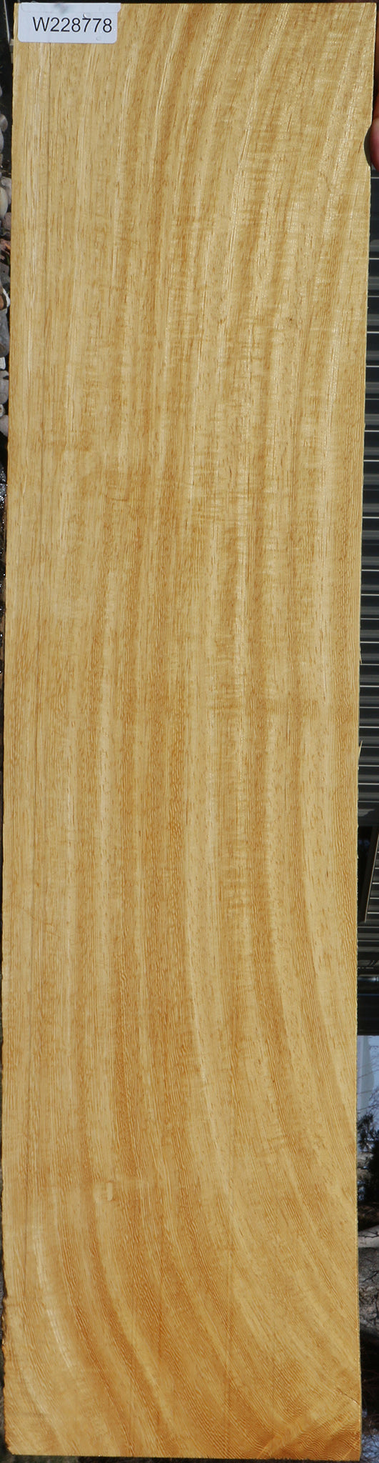 228778_1_2a3bf27f-c59a-4a1c-bdc9-d7fca94eafab 15072173818227