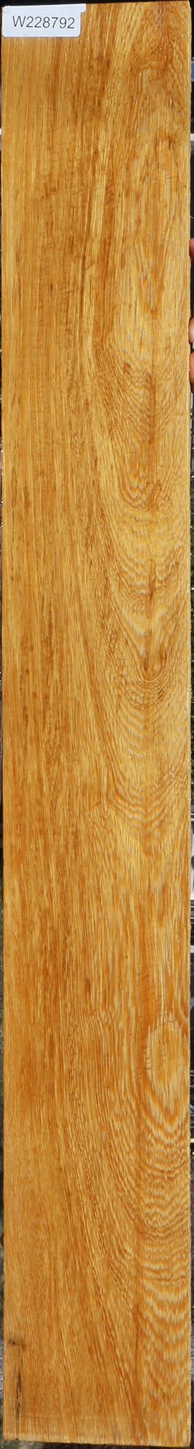 228792_1_c1e3ca43-699b-40a1-afba-a851ad12d459 15072175063411