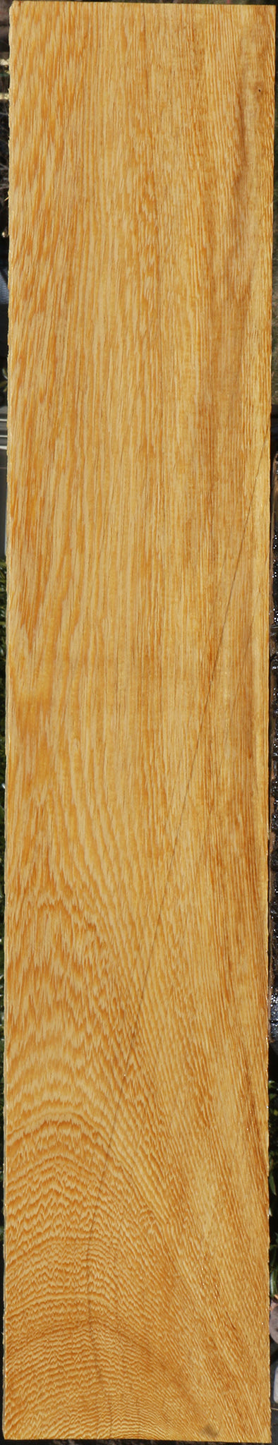 228798_1_673d4a2b-e616-46d5-8c69-7a9bd808d233 15072175587699