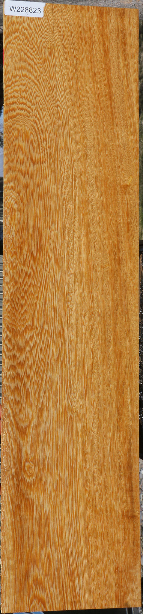 228823_1_d2dde61f-de8b-43fa-ada2-1263c69e4c24 15072177717619