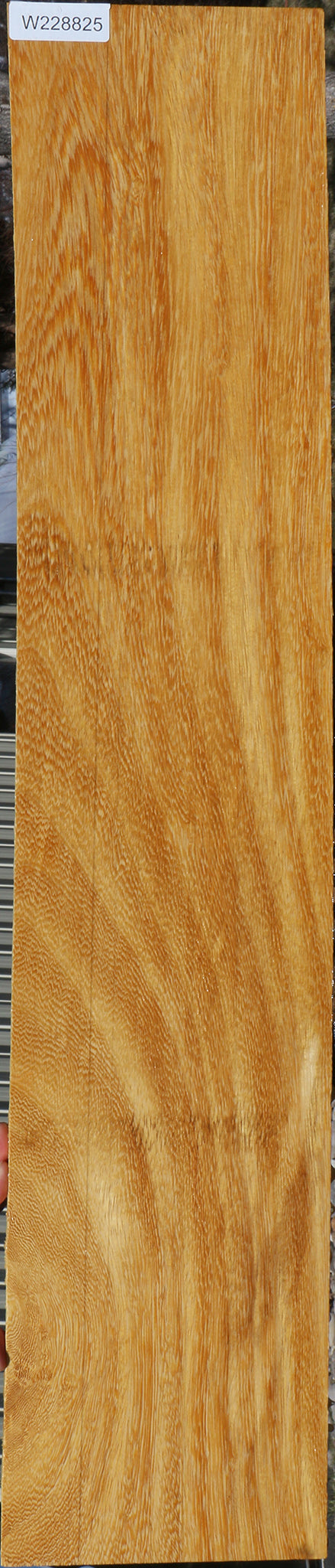 228825_1_ea45e62b-631f-4e15-87c5-801171cec066 15072177914227