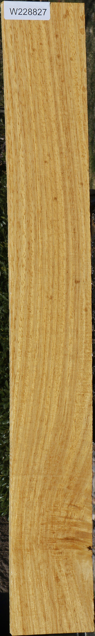 228827_1_88020759-03f9-4810-a7b9-bea00ea5db74 15072178143603