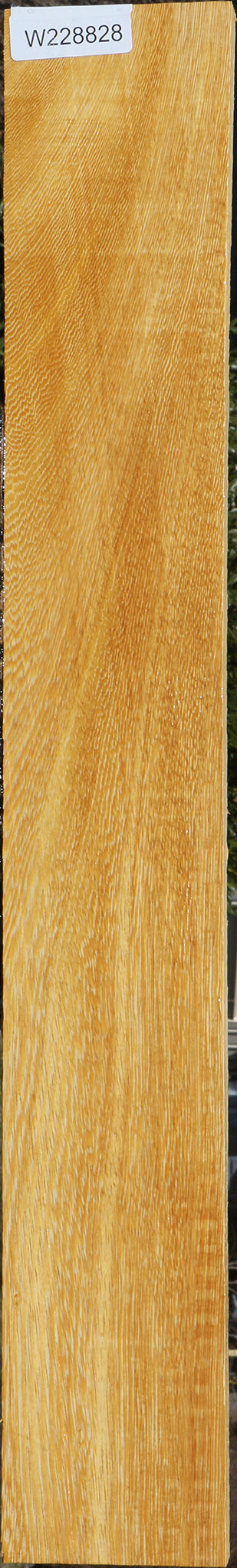 228828_1_a57f6151-2e5e-4aef-88ad-31389531ae43 15072178176371