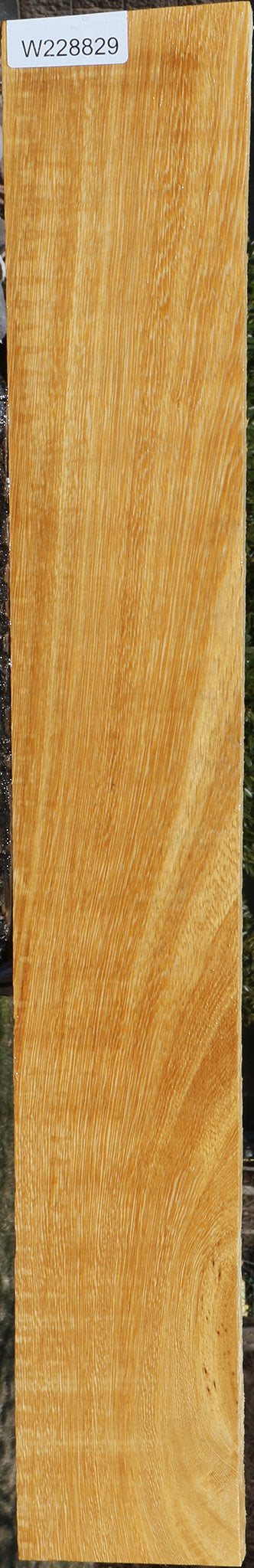 228829_1_3c71ba6e-4747-454d-afee-67a64a829407 15072178274675