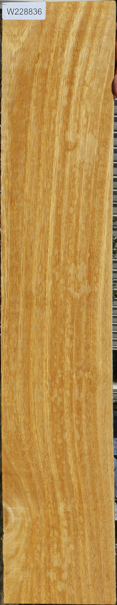 228836_1_b0730960-cacf-4015-8978-9cf5b04ff02b 15072178930035