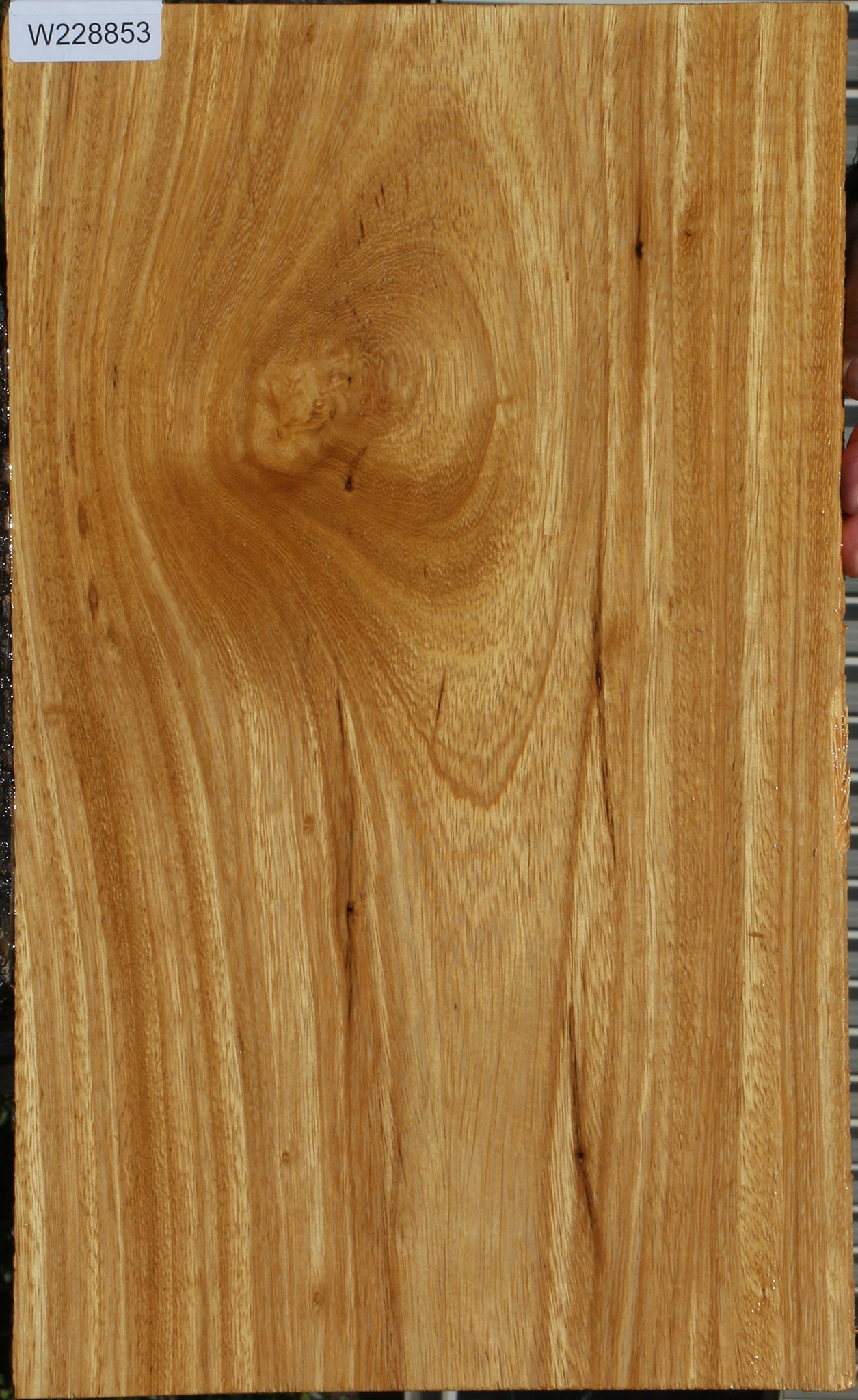 228853_1_21ce6de5-3805-414a-9f53-908d889ba906 15072180240755