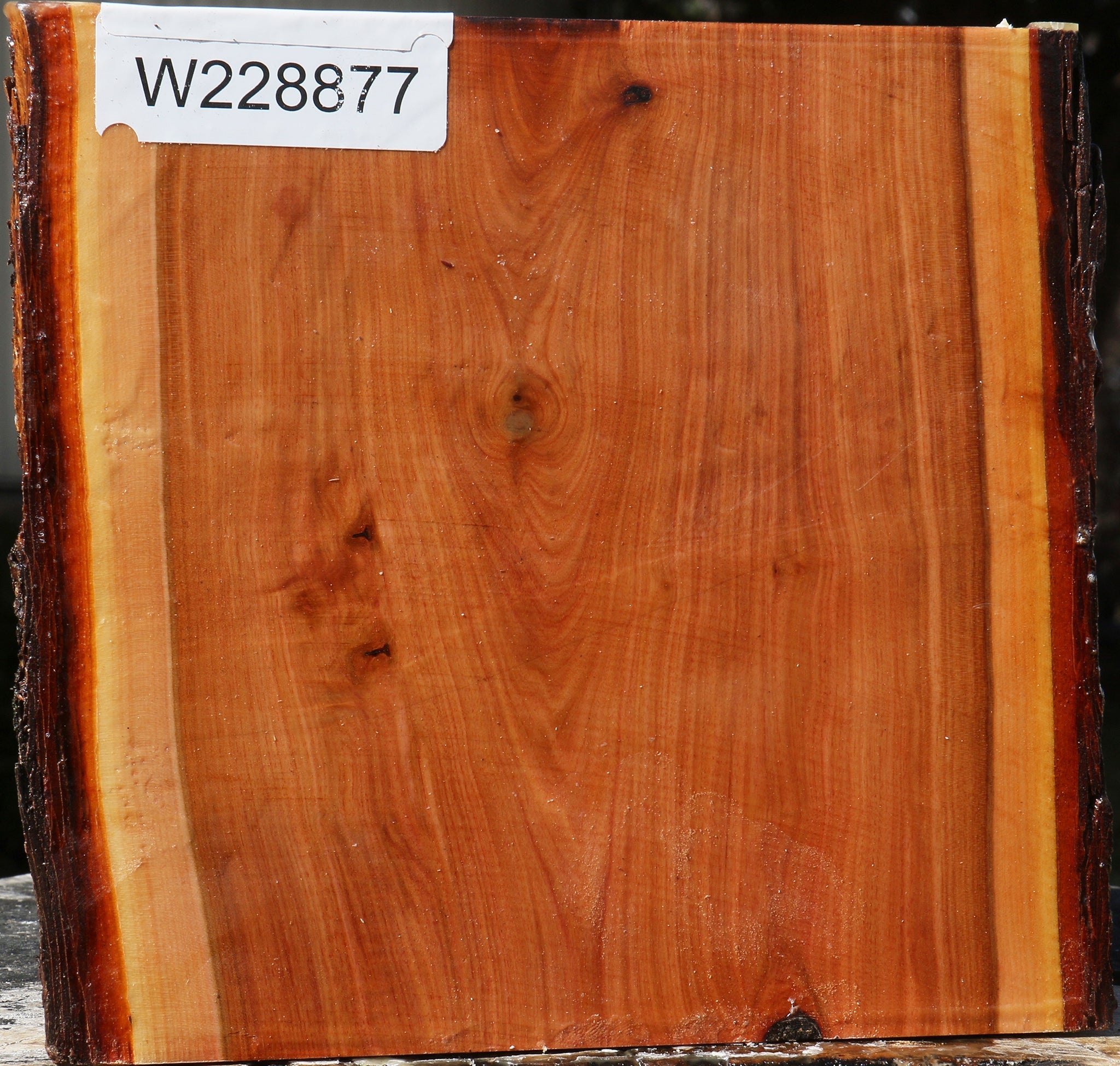 228877_1_1367c14a-4daf-48a5-b827-cb6dfa460e70 15072183746931