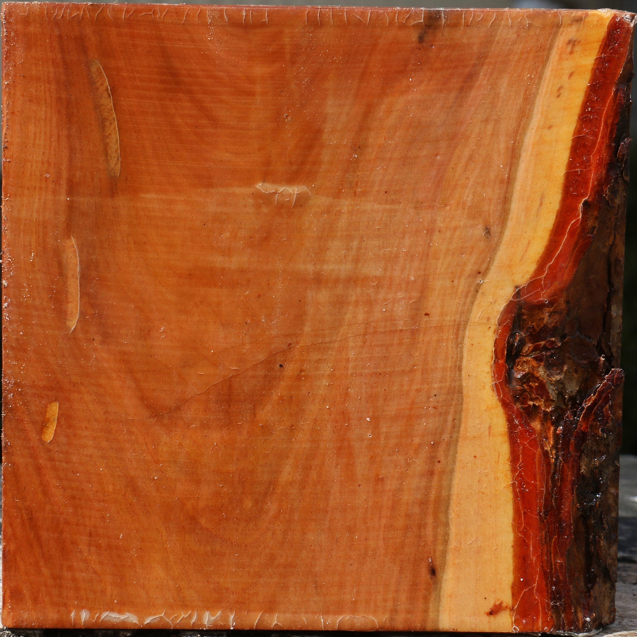 228935_1_516acd46-fd86-4f25-ad31-b23587811f0c 15072189546867