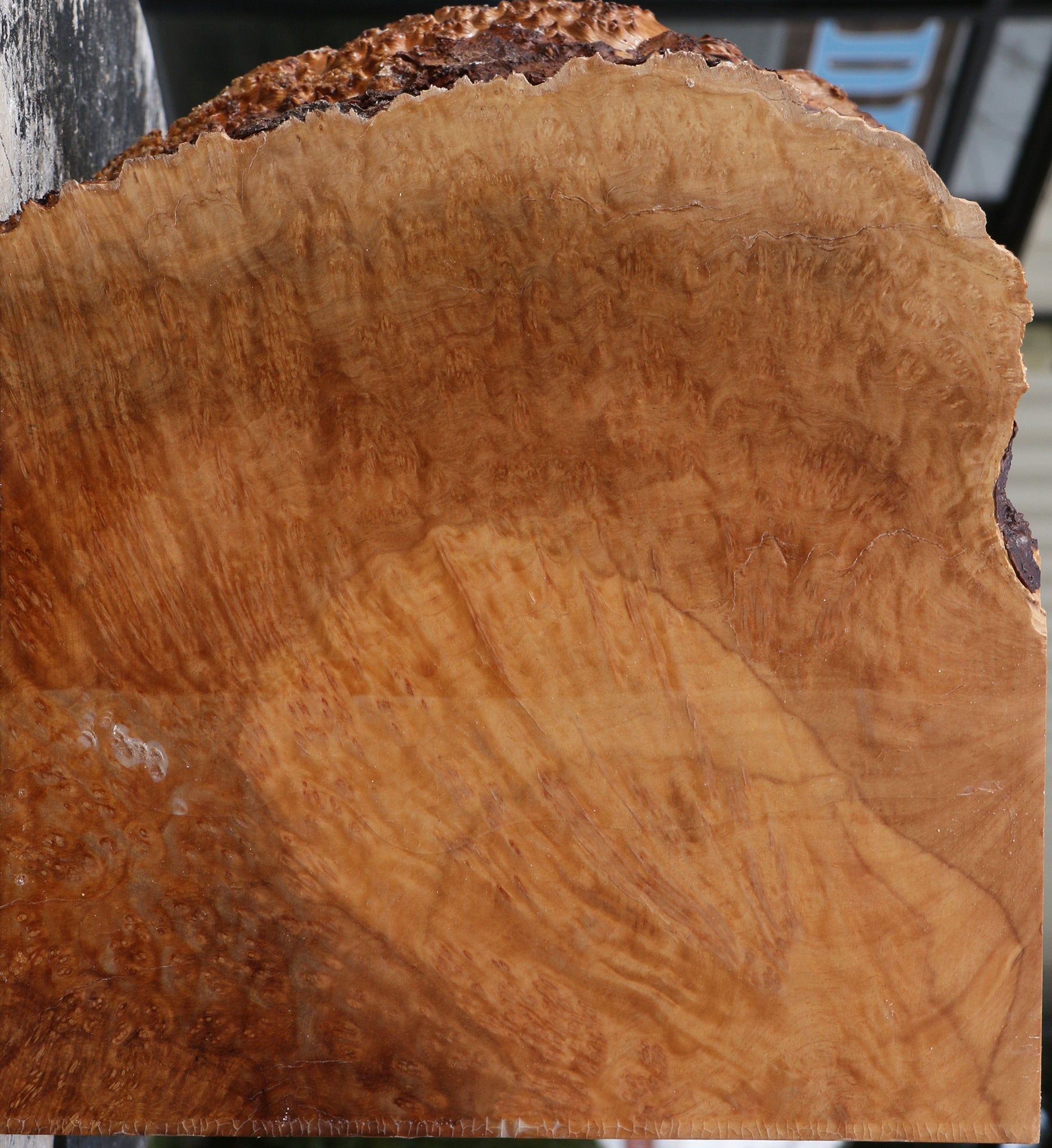 228948_1_42378115-c20d-45a6-8c7f-97fe63574bcb 15071054823795