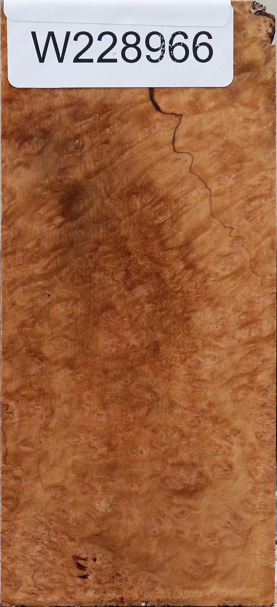 228966_1_1b370f10-c036-4f96-b250-12d57b65c83c 15071055577459