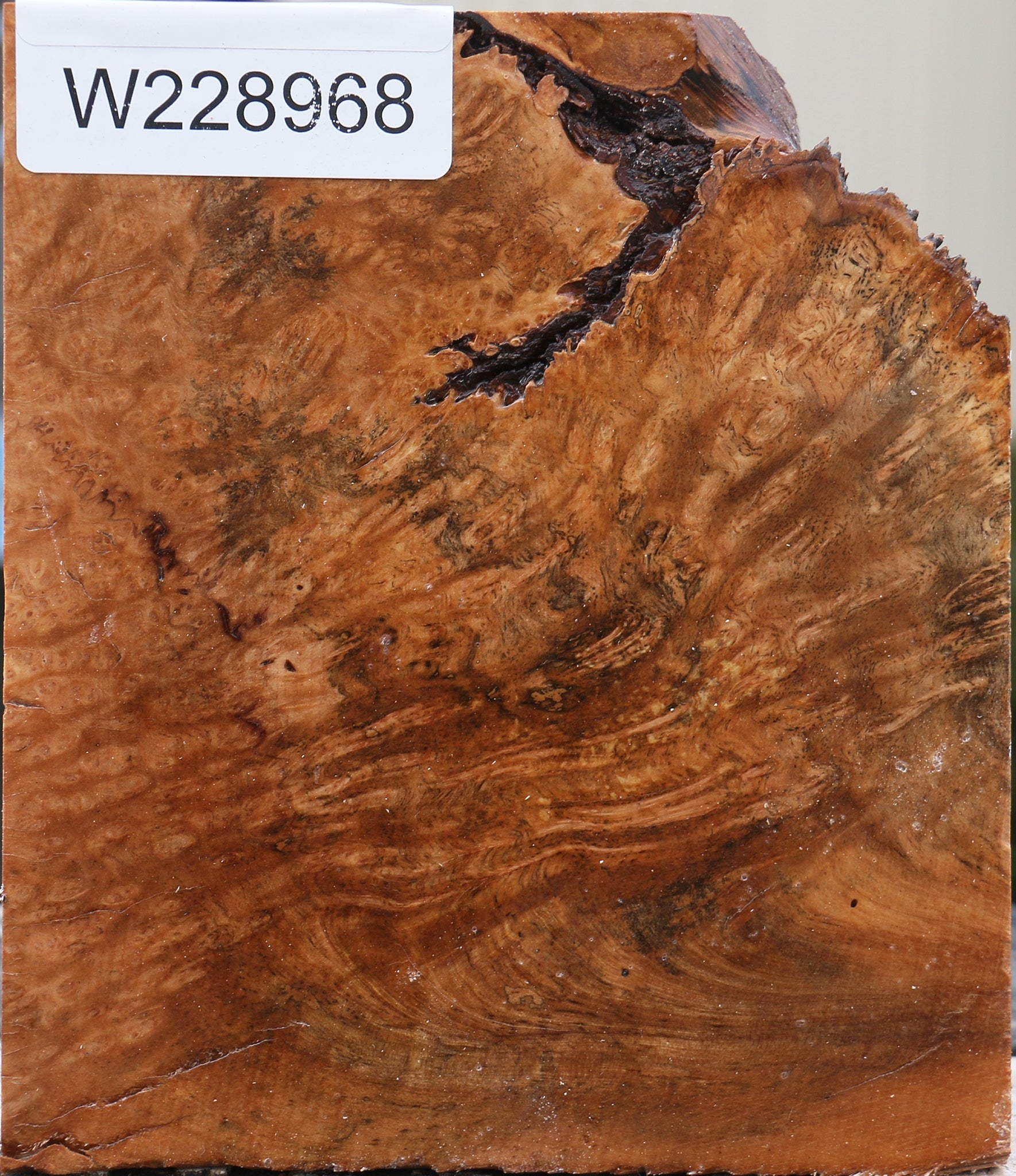 228968_1_ccafe23a-edca-4f1d-9d4c-1d03f365fe23 15071055642995