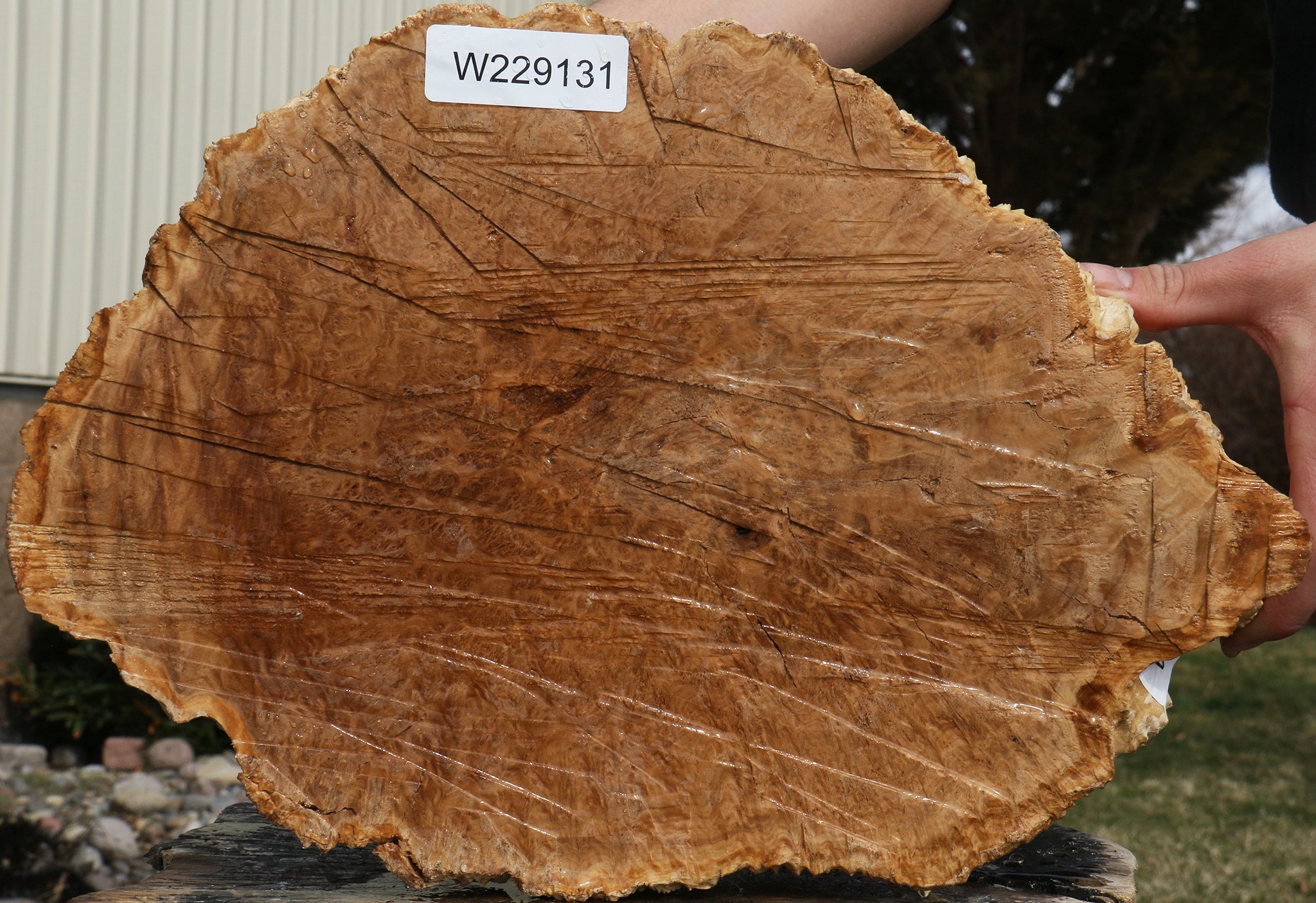 229131_1_8ec46367-7bce-443c-915c-cbf73f4b700b 15073335738739