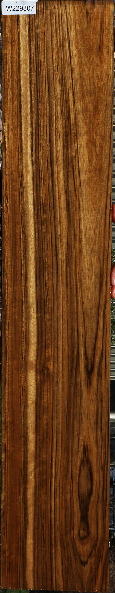 229307_1_8a89cd5e-209e-4241-89a0-681c0ea2a3b0 15078199034227