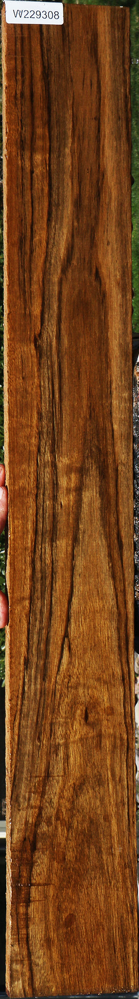 229308_1_8db0a5ed-f517-4e8a-8c55-56ab57f2ba0e 15078199165299