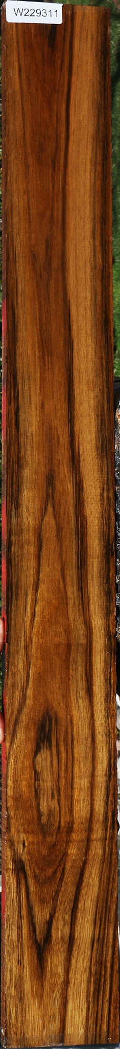 229311_1_40432b98-f418-4487-9d28-fc74e7bdf6a2 15078199394675