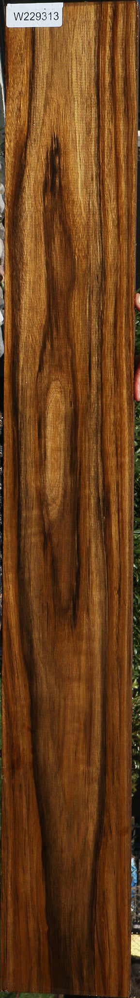 229313_1_acb2a759-cc48-4611-af72-34edeef8b103 15078199558515