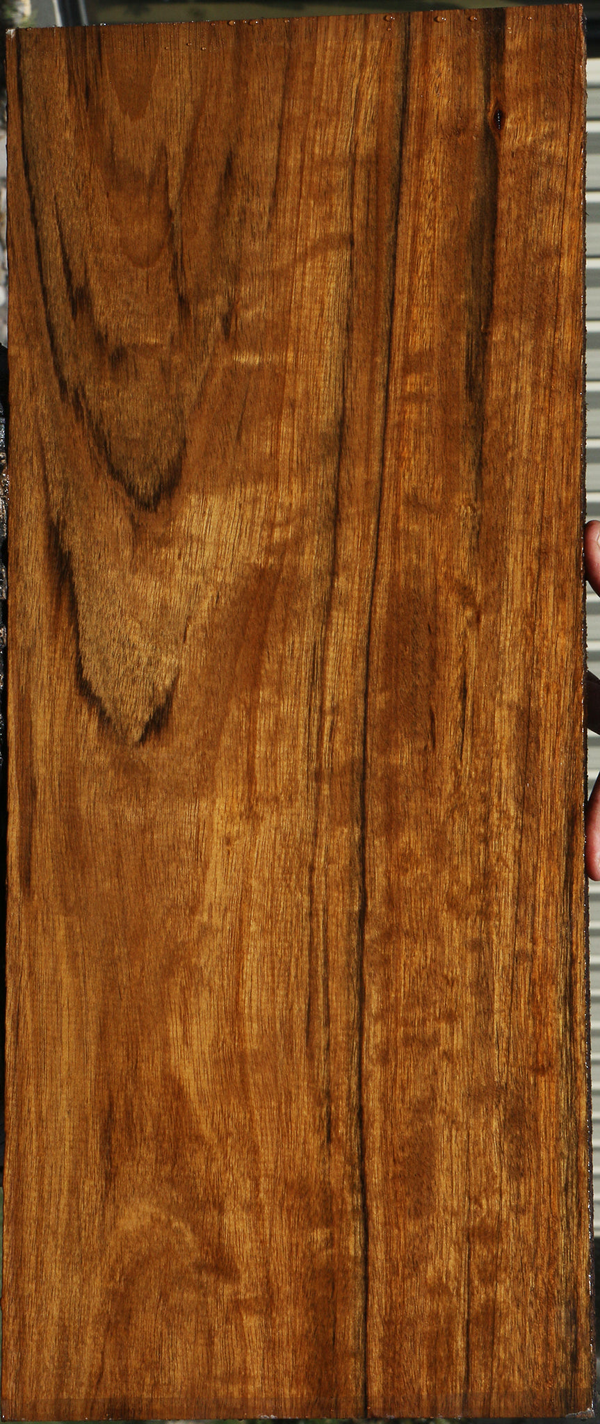 229376_1_7c265045-3c8f-4c6e-b4fe-69cb9bc47fec 15078204440947