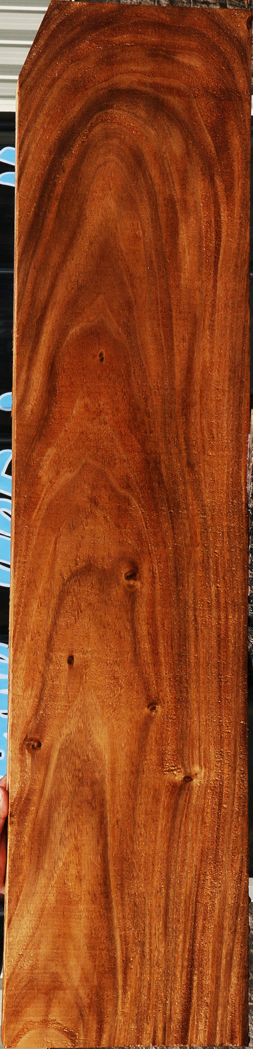 229389_1_1008b2ac-7cb2-4f37-b6ca-e2d393fb2acf 15075009266035