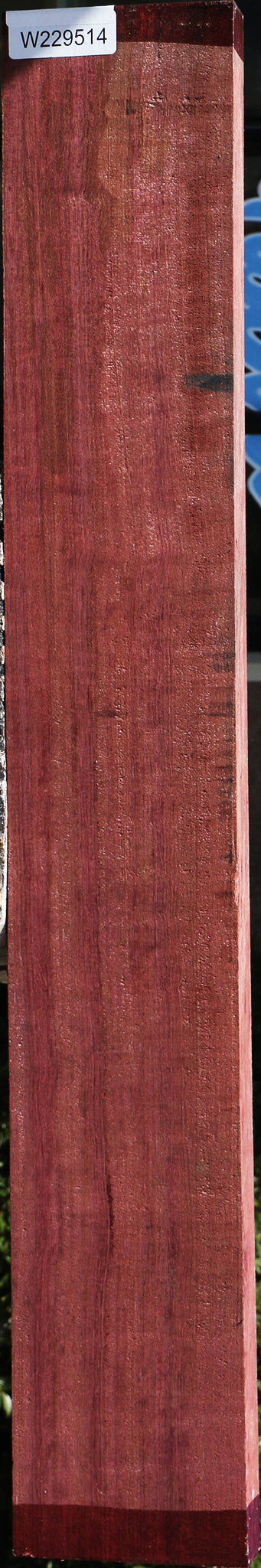 229514_1_a81e55e3-3a03-49e3-9c97-d64296a5672a 15081723756915