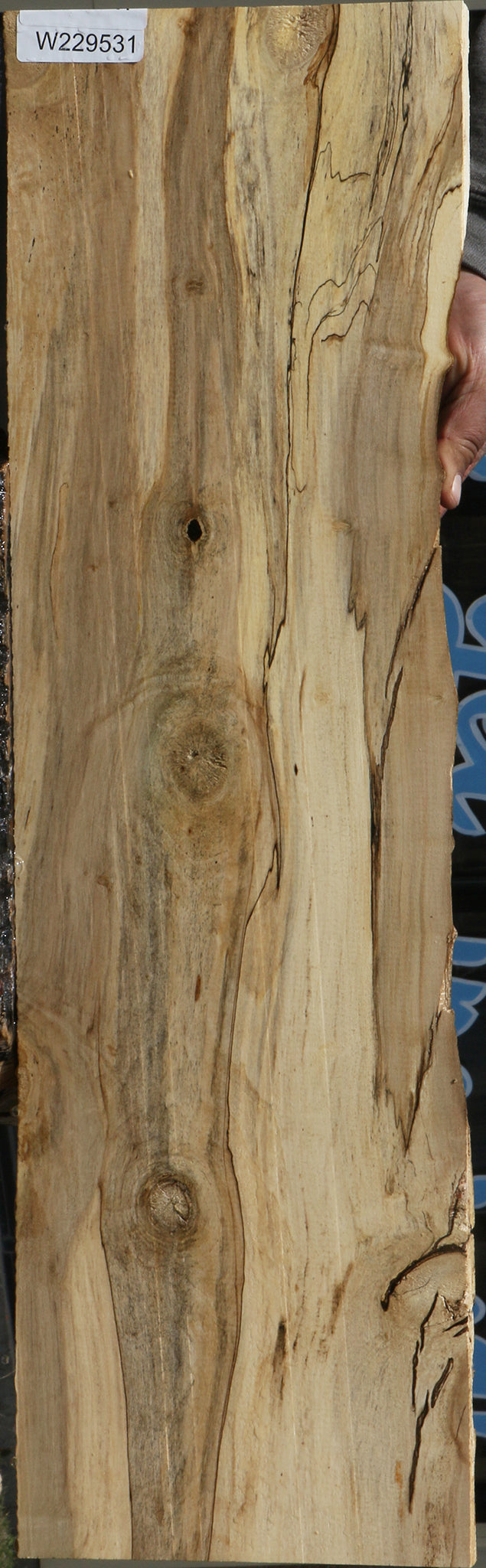 229531_1_2307991d-d1ac-429e-989f-13d884f2a7de 15078194217331