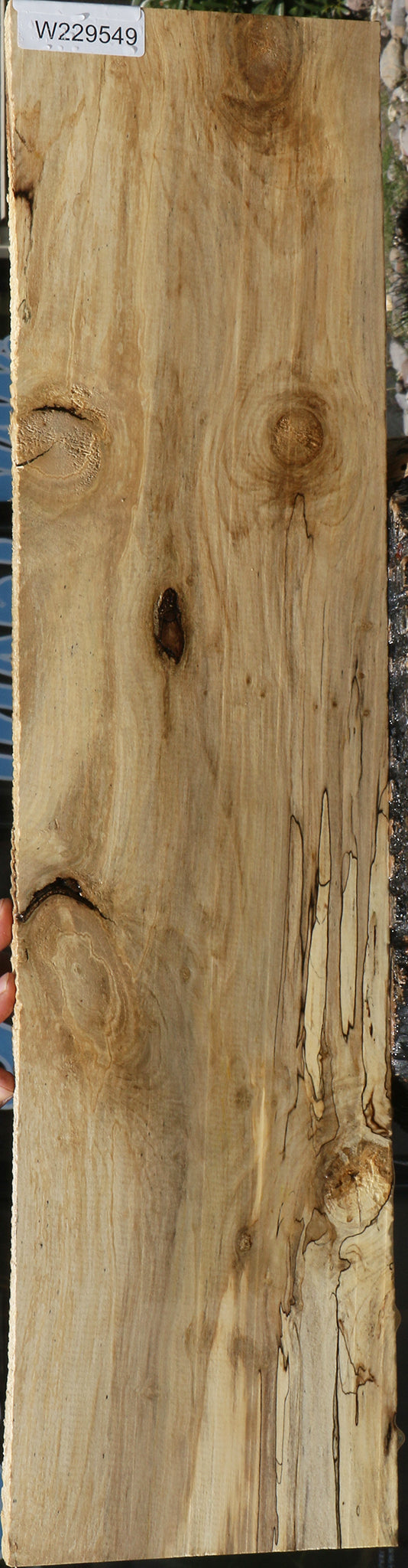 229549_1_b9f3787c-e026-4313-a3bc-20af07b46937 15078195659123