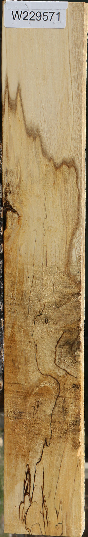 229571_1_4e804dd8-3719-4e3c-a6cb-d78637320163 15078197461363