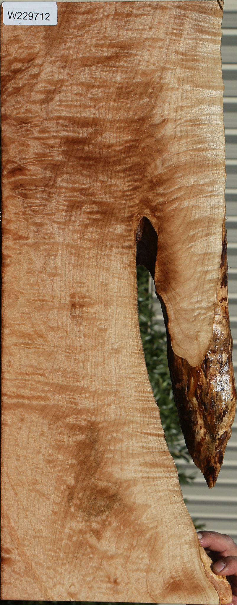 229712_1_1720aa3c-a2d5-48ad-829e-d19c23303cd5 15081720676723